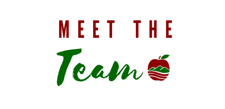 A graphic reads "Meet the team."